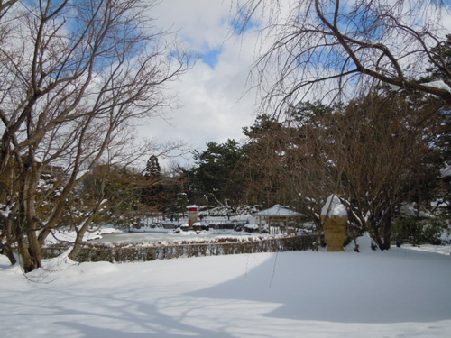 鑑賞会風景