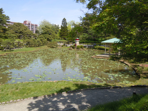 鑑賞会風景