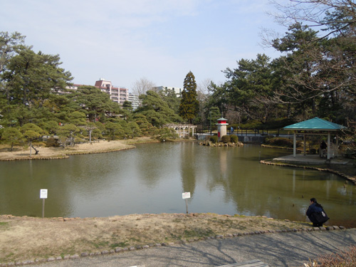 鑑賞会風景