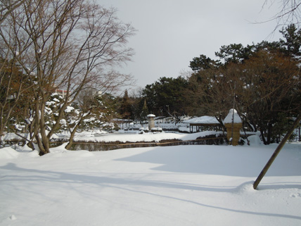 会場窓外の風景