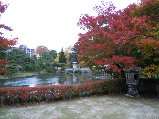 会場窓外白山公園の紅葉