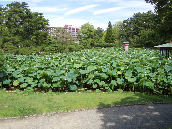会場外瓢箪池の風景